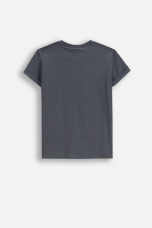 COCCODRILLO marškinėliai trumpomis rankovėmis LICENCE GIRL, pilki, WC5143218LGD-020-164, 164 cm 