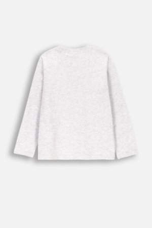 COCCODRILLO marškinėliai ilgomis rankovėmis EVERYDAY BOY A, pilki, ZC4143103VBA-019-152, 152 cm 