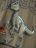 NAME IT JURASSIC WORLD marškinėliai, 13247257-817A65 110 cm 