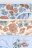 COCCODRILLO kelnaitės PANTS, multicoloured, ZC2406307PAN-022 ZC2406307PAN-022-116