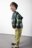COCCODRILLO marškiniai ACADEMY BOY KIDS, spalvoti, ZC5136402ABK-022-104, 104 cm 