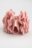 COCCODRILLO plaukų segtukas PETIT BIJOU, rožinis, WC5311705PBJ-007-000, one size cm 